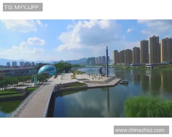 以锋为中心构建未来发展新战略探索与路径选择