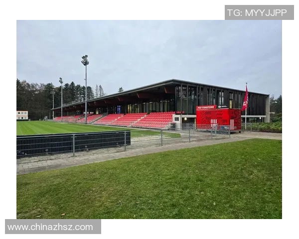 男足崛起之路：从青训到国际赛场，打造强队的全方位战略探索